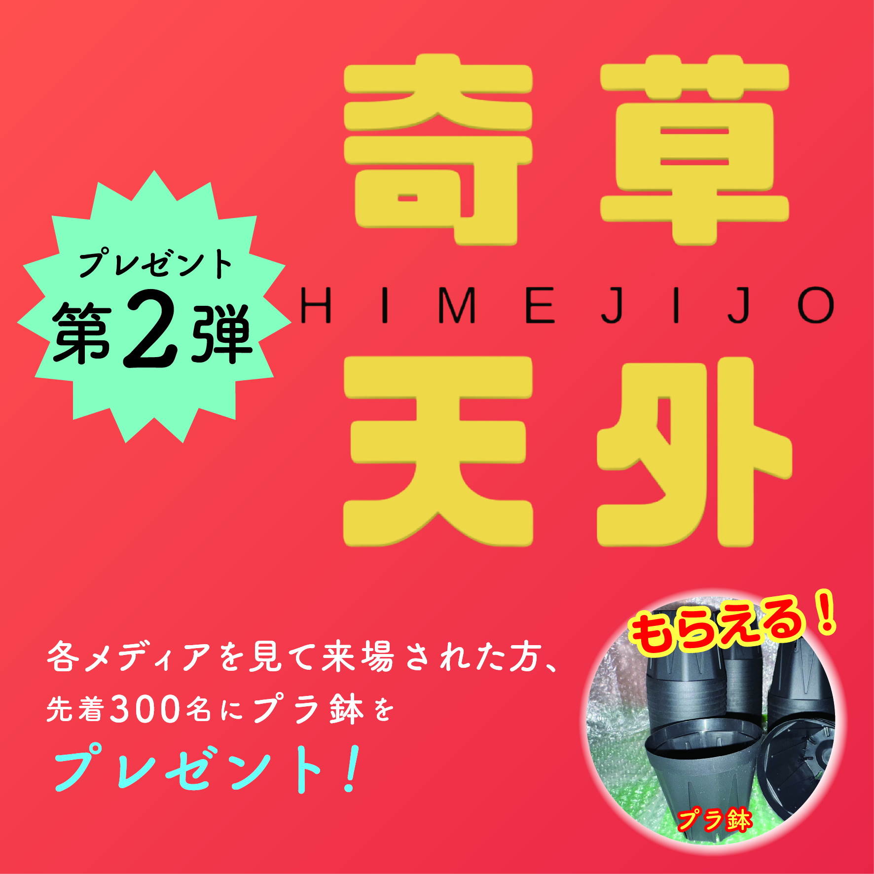 プレゼント企画 ② | 姫路城 奇草天外な植物市